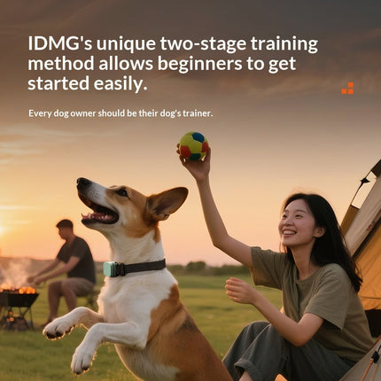 Durable Dynamic Training and Leash for Dogs