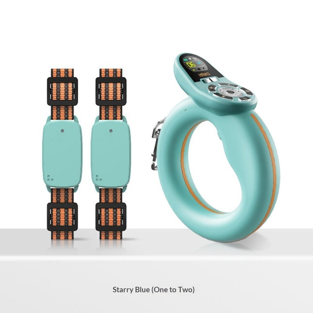 Durable Dynamic Training and Leash for Dogs