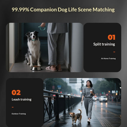 Durable Dynamic Training and Leash for Dogs
