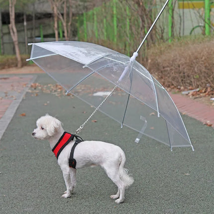 Creative Umbrella Dog Leash
