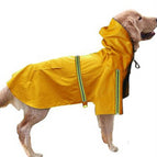 Yellow / 2XL