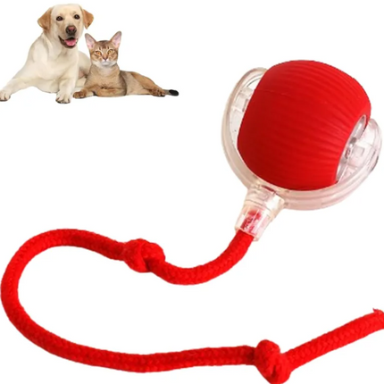 Pets Ball Toy