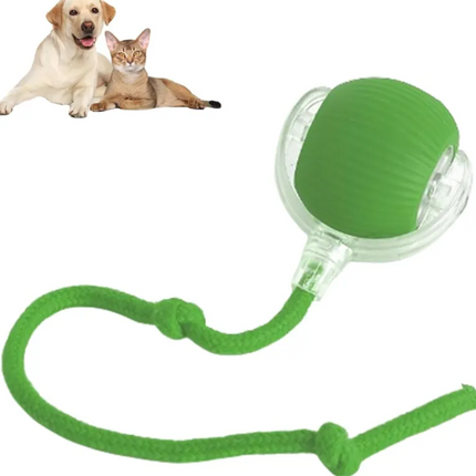 Pets Ball Toy