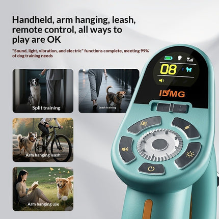 Durable Dynamic Training and Leash for Dogs