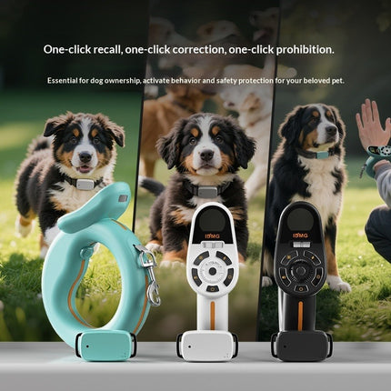 Durable Dynamic Training and Leash for Dogs