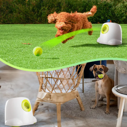 AFP 3196 Mini Automatic Electric Tennis Ball Launcher for Pets – Lightweight Throwing Machine