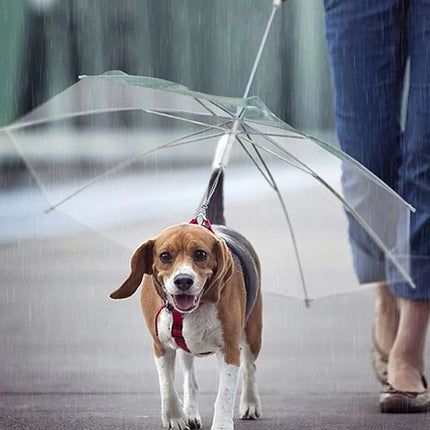 Creative Umbrella Dog Leash