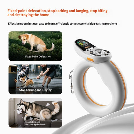 Durable Dynamic Training and Leash for Dogs