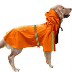 Orange / Small